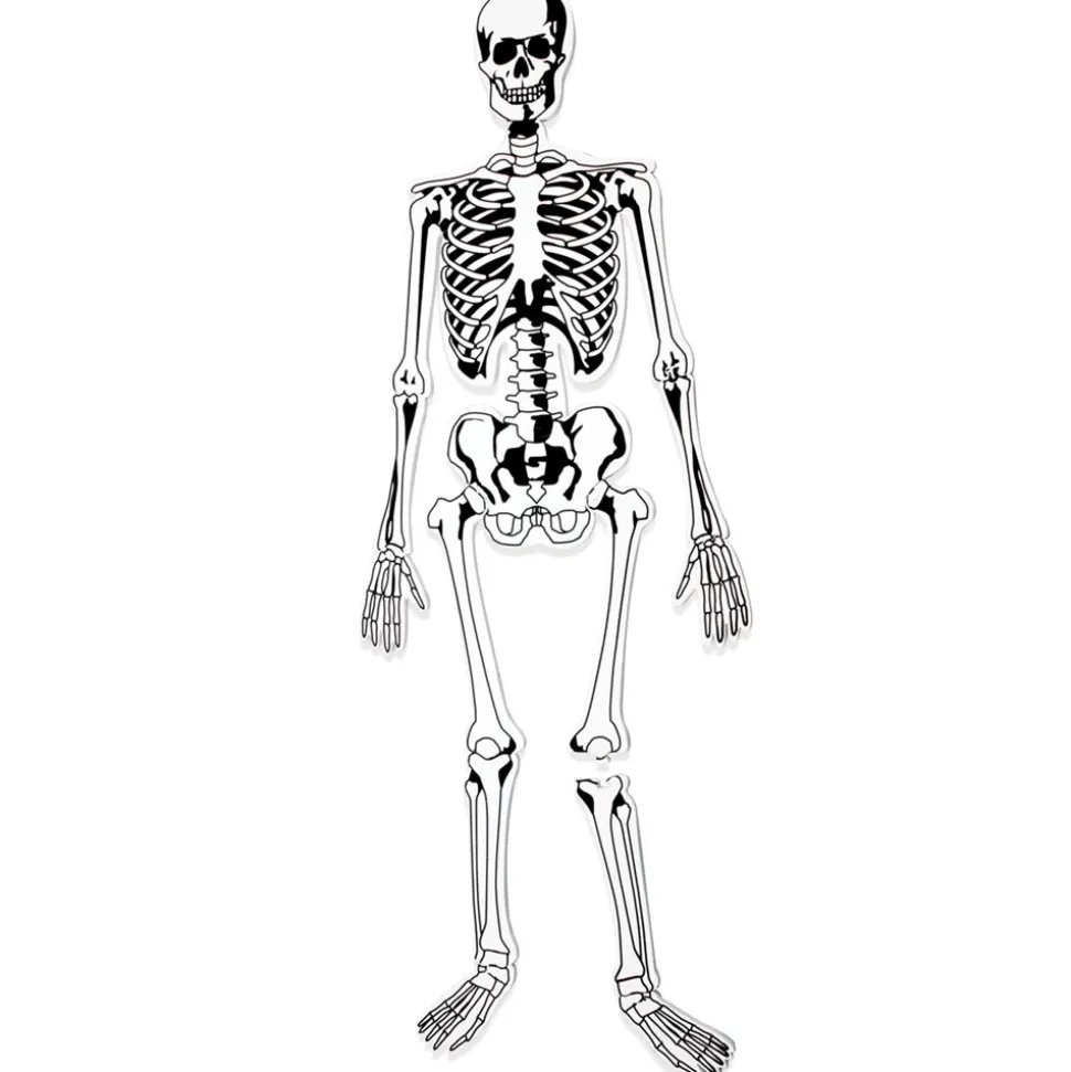 Puzzle Boden - Skelett Aus Schaumstoff