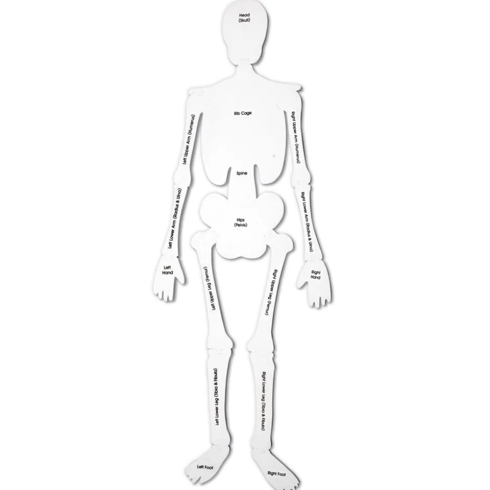 Puzzle Boden - Skelett Aus Schaumstoff