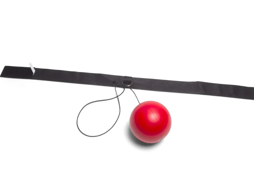 Reflexe Trainieren - Boxball