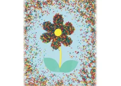 Reis In Vielen Farben Für Sensorikspiele - 454 G