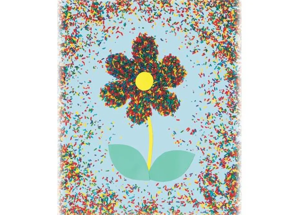 Reis In Vielen Farben Für Sensorikspiele - 454 G