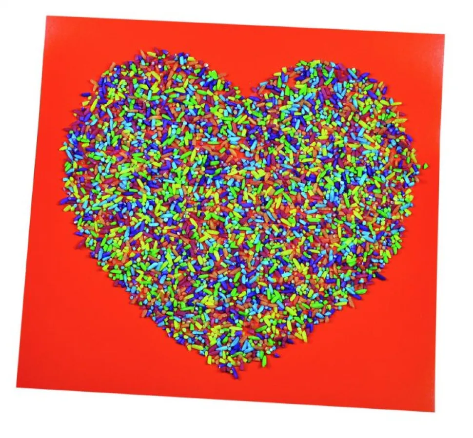 Reis In Vielen Farben Für Sensorikspiele - 454 G