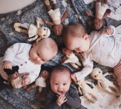 Rubens Ecobuds Mini - 23 Cm