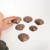 Sensorikmuscheln - Bio, 36 Stk.