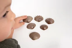 Sensorikmuscheln - Bio, 36 Stk.
