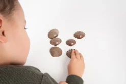 Sensorikmuscheln - Bio, 36 Stk.