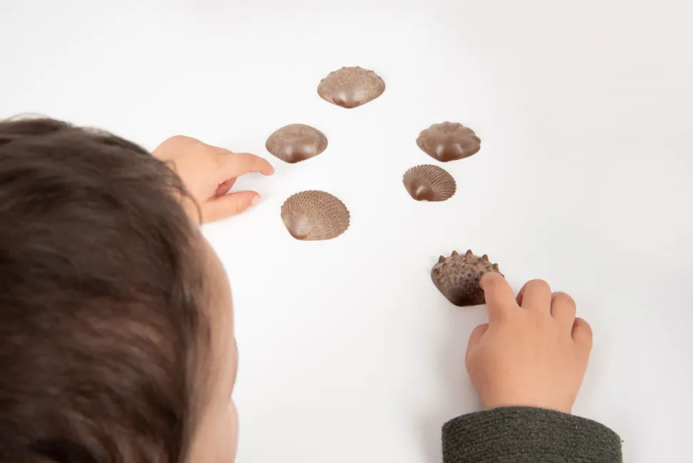 Sensorikmuscheln - Bio, 36 Stk.