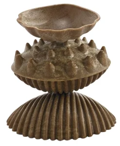 Sensorikmuscheln - Bio, 36 Stk.