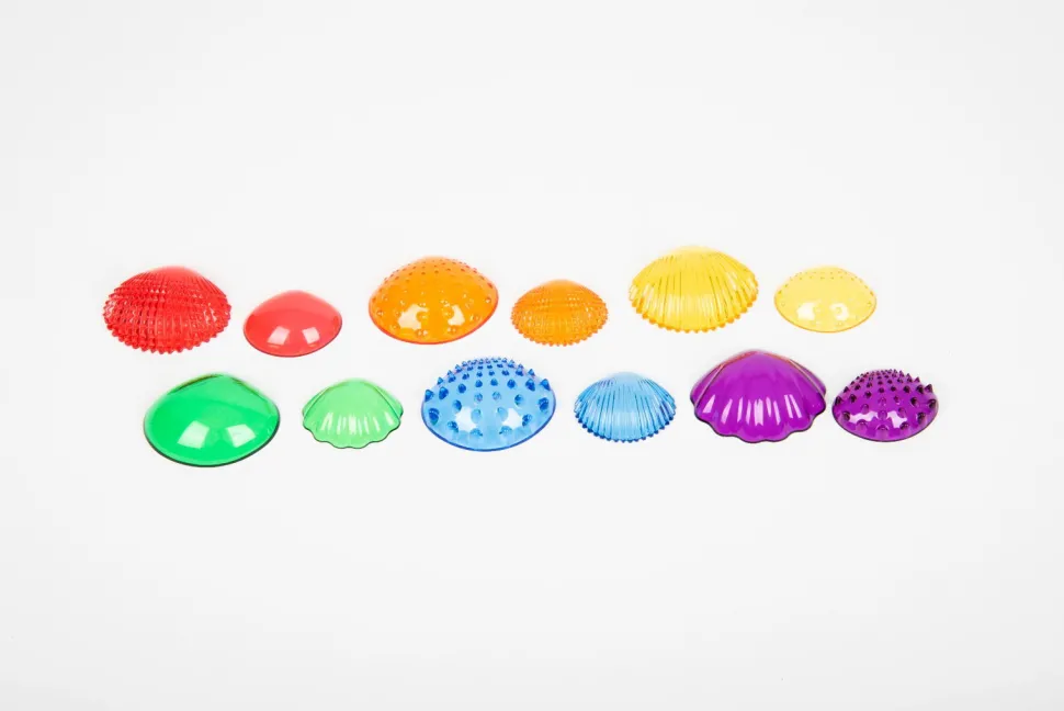 Sensorikmuscheln - Transparent, 108 Stk.