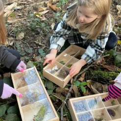 Sortierkasten Aus Holz Mit Scheibe, 3 Stk