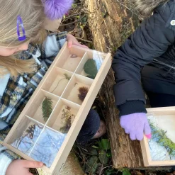 Sortierkasten Aus Holz Mit Scheibe, 3 Stk