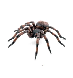 Spinne (L: 6,3 Cm)