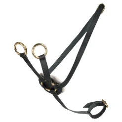 Steckenpferd Zubehör - Martingal , Schwarz/Gold