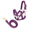Steckenpferd Zubehör -Halfterset, Amethyst