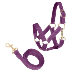 Steckenpferd Zubehör -Halfterset, Amethyst