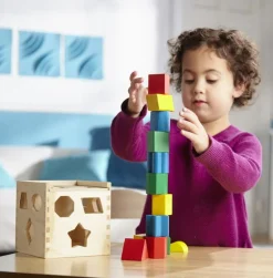 Steckkasten Mit Geometrischen Klotzen