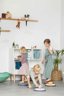 Taktile Scheiben Nordic