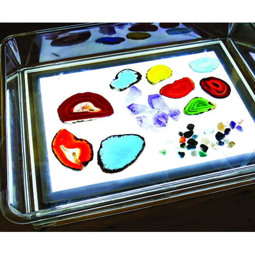Transparente Spielwanne