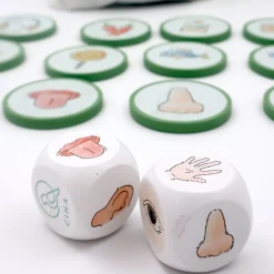 Unsere Sinne - Lernset