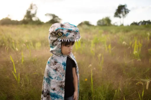 Velociraptor (Gr. 4-6 Jahre)