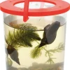 Vergroserungsglas Mit Griff -O 9,5 Cm