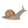 Weinbergschnecke (L: 6 Cm)