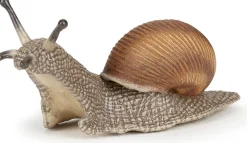 Weinbergschnecke (L: 6 Cm)