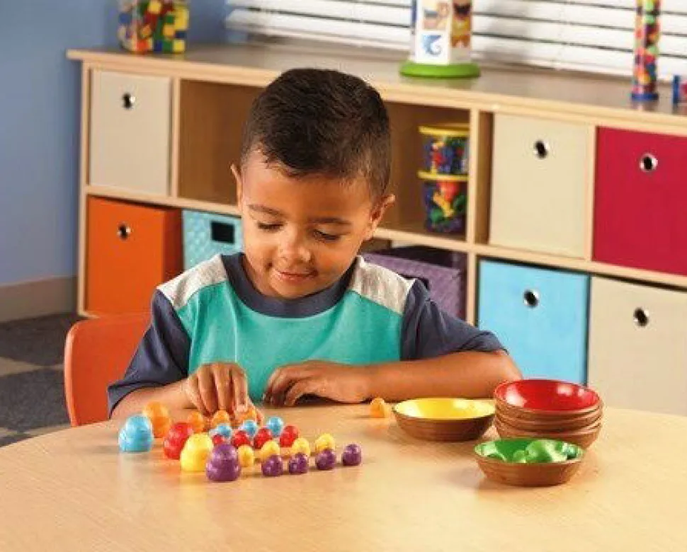 Zahl Und Sortier - Vogel