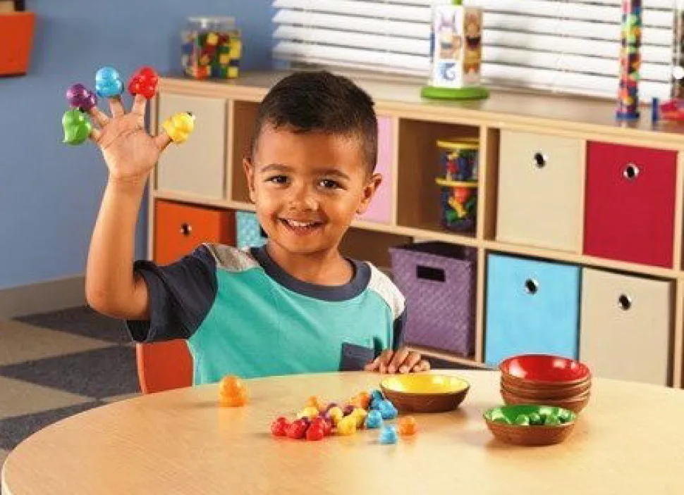 Zahl Und Sortier - Vogel