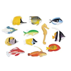 Zahle & Sortiere - Fische, 60-Teilig